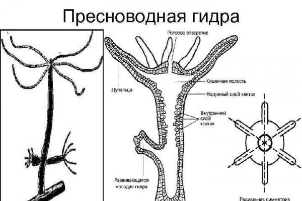 Как вывести деньги с кракена маркетплейс