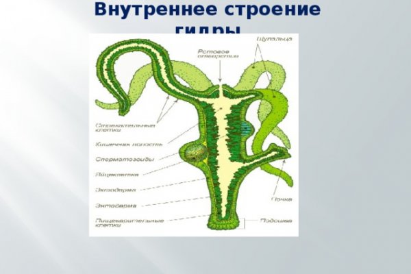 Кракен нарко маркетплейс