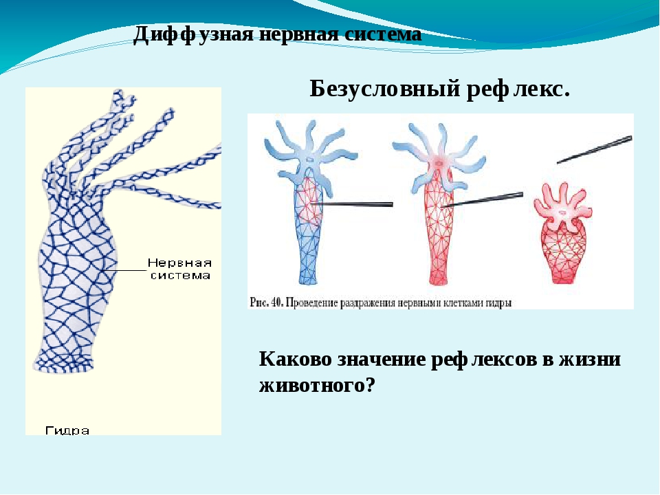 Кракен даркнет зеркало пв